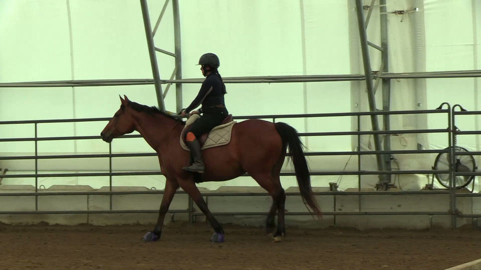 Adjustability Exercise for Jumping Prep